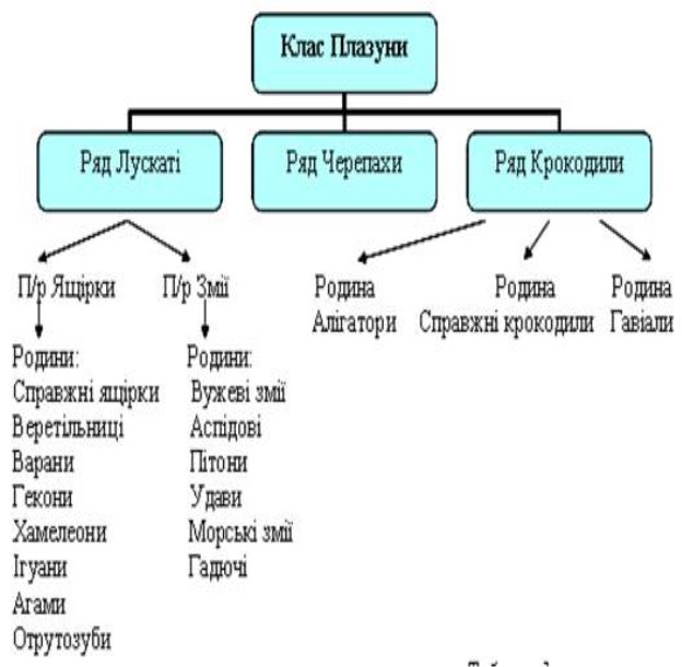 http://navigator.rv.ua/images/stories/osvitrivne/biologiya/plaz.jpg